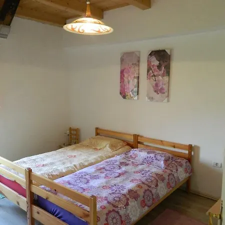 منزل للإقامة Stara Hisa *